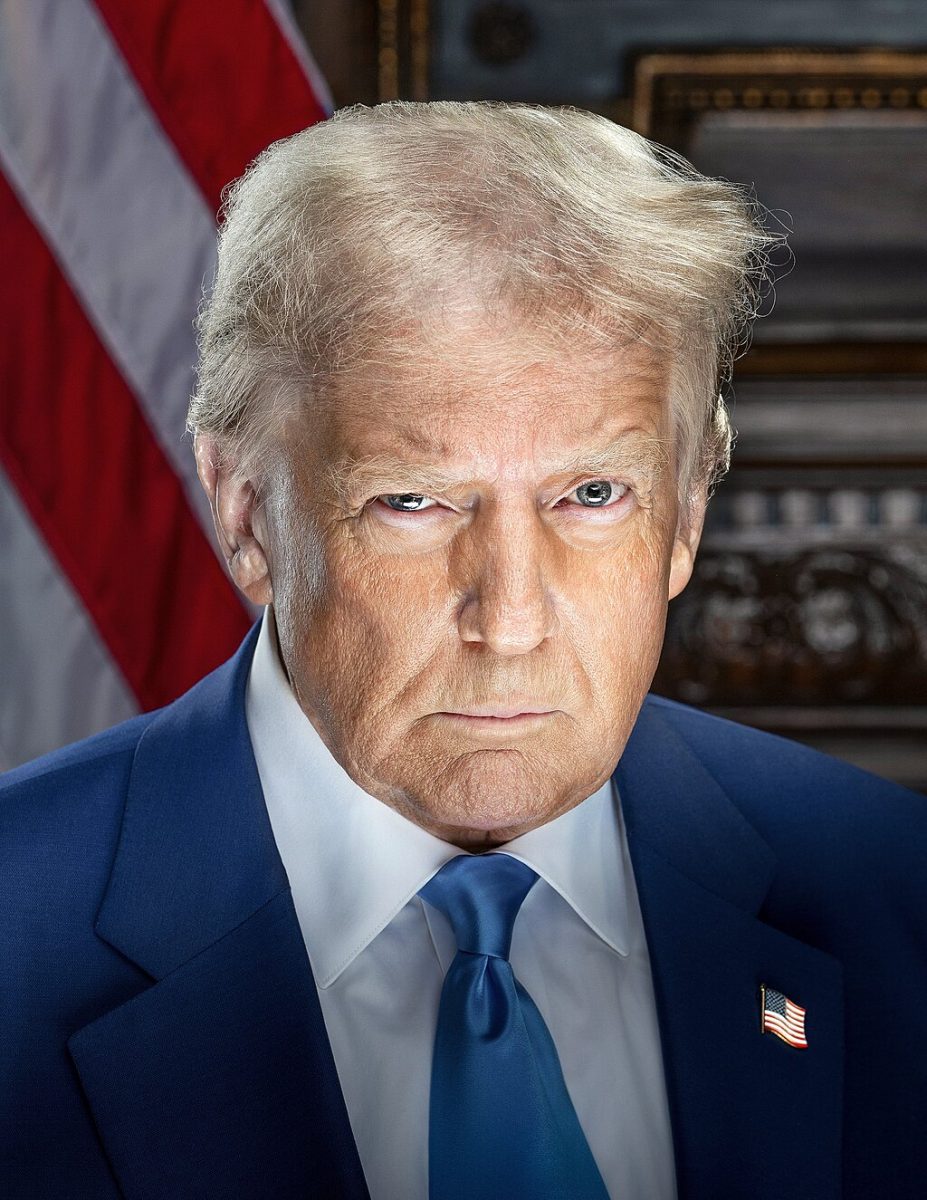 President Trump's official portrait