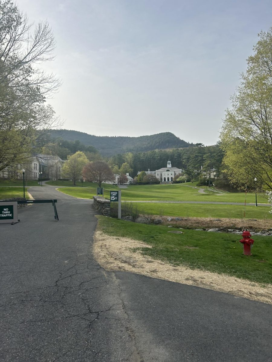 Spring Under The Mountain!
